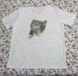 画像2: にゃんにゃん1号 飛び出すネコ 猫Tシャツ 春夏 白 M・L  (2)