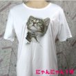 画像3: にゃんにゃん1号 飛び出すネコ 猫Tシャツ 春夏 白 M・L  (3)