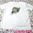 画像5: にゃんにゃん1号 飛び出すネコ 猫Tシャツ 春夏 白 M・L  (5)
