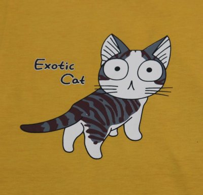 画像2: にゃんにゃん6号 Exotic Cat 見返り大目玉ネコ 猫Tシャツ 春夏 芥子色 M・L 