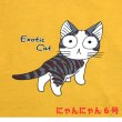 画像6: にゃんにゃん6号 Exotic Cat 見返り大目玉ネコ 猫Tシャツ 春夏 芥子色 M・L  (6)