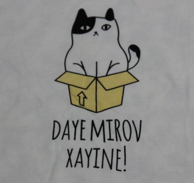 画像2: にゃんにゃん7号 DAYE MIROV XAYINE!  猫Tシャツ 春夏 白 フリーサイズ