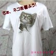 画像1: にゃんにゃん1号 飛び出すネコ 猫Tシャツ 春夏 白 M・L  (1)