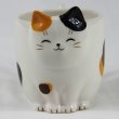 画像1: 猫マグカップ 猫びより みけ 猫物語 陶器 猫柄 ネコ柄 ねこ柄 猫雑貨 ネコ雑貨 ねこ雑貨 (1)