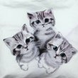 画像7: 猫柄トートバッグ キャンバス白地 軽量 かわいい3匹のネコ (7)
