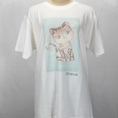 画像2: オリジナルTシャツ 猫Tシャツ haruaデザイン コットン 白 レディース ガールズ キッズ かわいいもこもこ猫