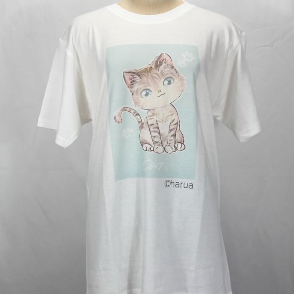 画像1: オリジナルTシャツ 猫Tシャツ haruaデザイン コットン 白 レディース ガールズ キッズ かわいいもこもこ猫 (1)