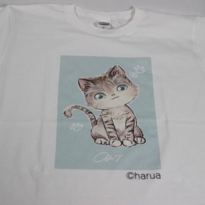 画像1: オリジナルTシャツ 猫Tシャツ haruaデザイン コットン 白 レディース ガールズ キッズ かわいいもこもこ猫