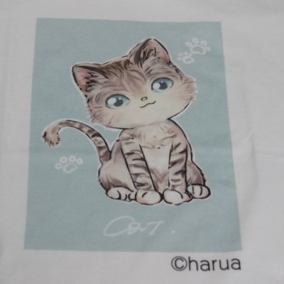 画像3: オリジナルTシャツ 猫Tシャツ haruaデザイン コットン 白 レディース ガールズ キッズ かわいいもこもこ猫